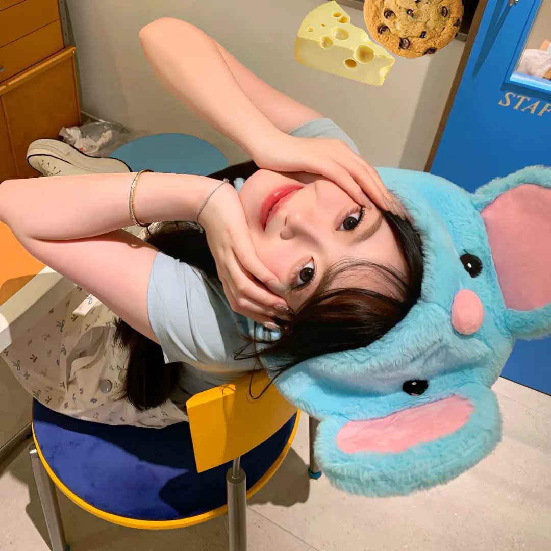 爱·寻·迷封面