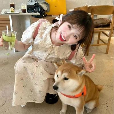 格鲁特码头封面